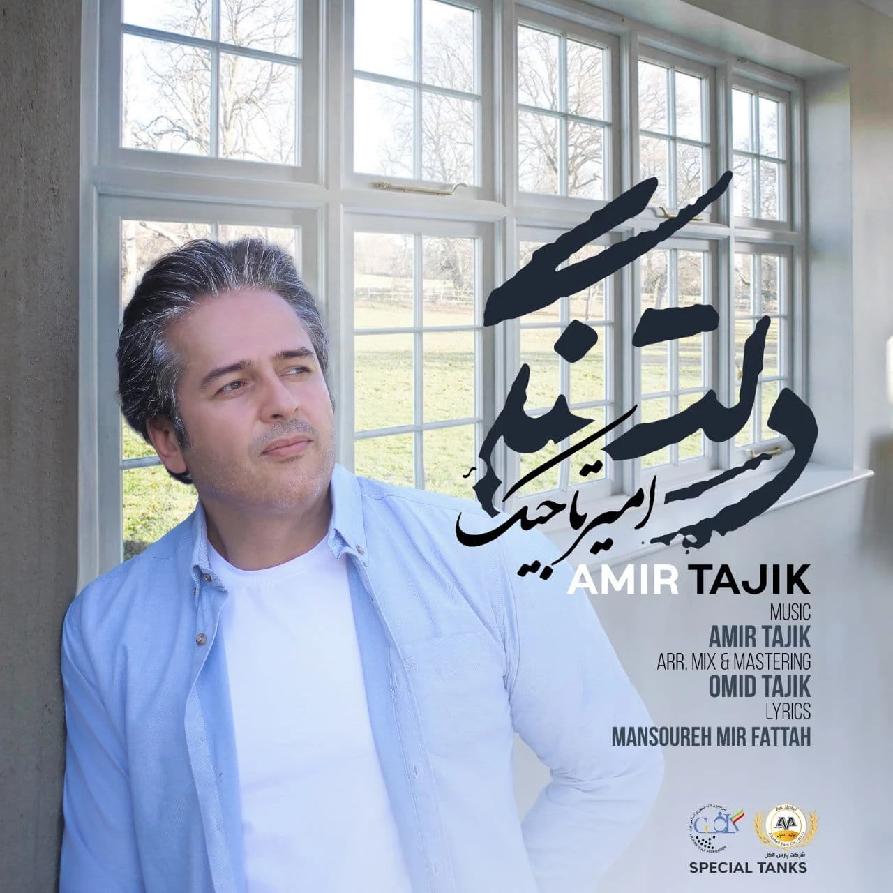 دانلود آهنگ دلتنگی از امیر تاجیک
